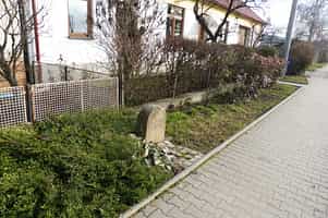 Fotodetail