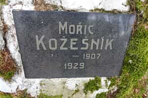 Fotodetail