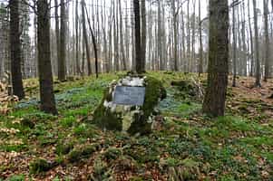 Kožešník, Mořic