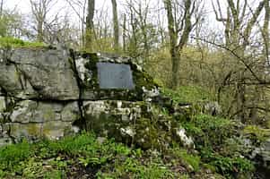 Fotodetail