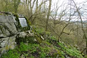 Fiscali, Ferdinand
