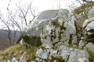 Tichý, Antonín