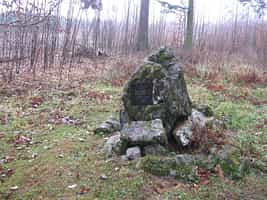 Fotodetail