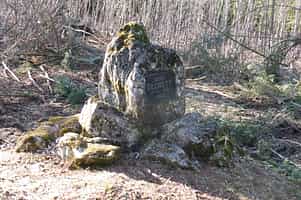 Fotodetail