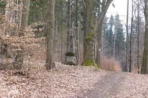 Fotodetail