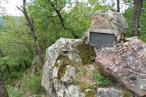 Fotodetail