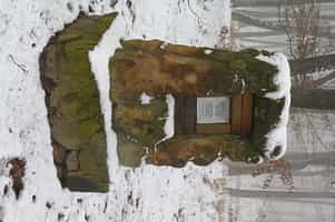 Fotodetail