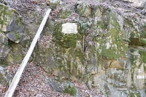 Fotodetail