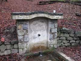 Fotodetail