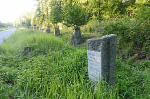 Jubilejní alej