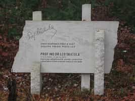 Fotodetail