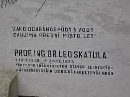 Fotodetail
