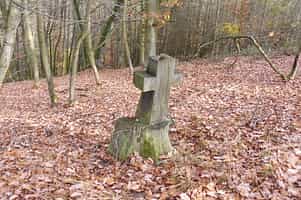Fotodetail