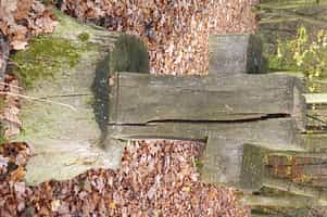 Fotodetail