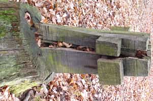 Fotodetail
