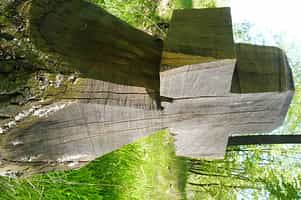 Fotodetail