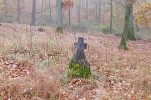 Fotodetail