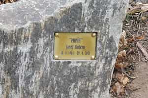 Fotodetail