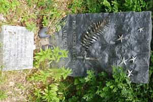 Fotodetail