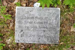 Fotodetail
