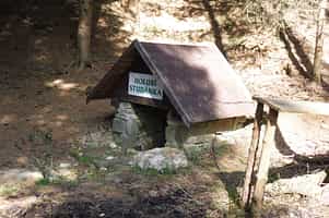 Holubí