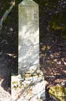 Fotodetail