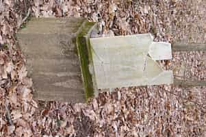 Fotodetail