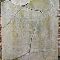 Fotodetail
