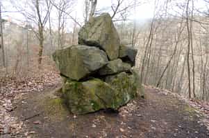 Fotodetail