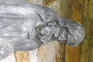 Fotodetail