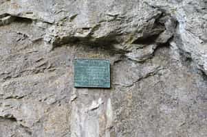 Fotodetail