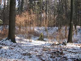 Fotodetail