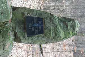 Fotodetail