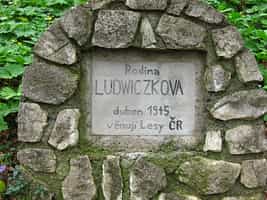 Fotodetail