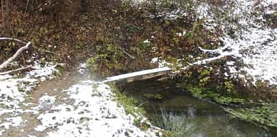 Fotodetail