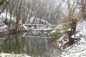 Fotodetail