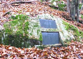 Micklitz, Robert
