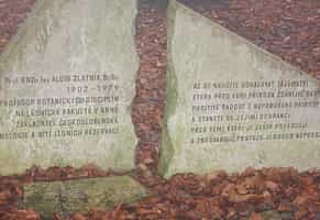 Fotodetail