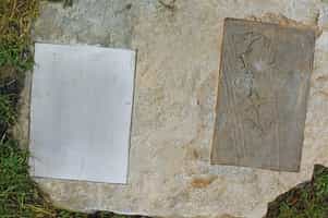 Fotodetail