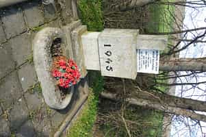 Fotodetail