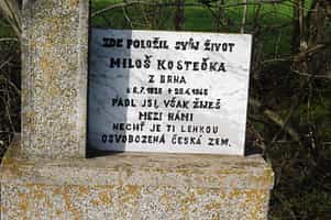Fotodetail