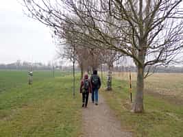 Fotodetail