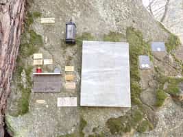 Fotodetail