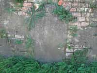 Fotodetail