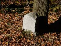Fotodetail