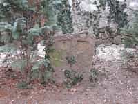 Fotodetail