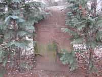 Fotodetail