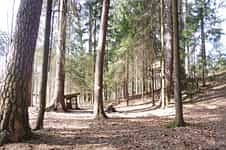 Fotodetail