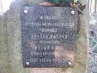 Fotodetail