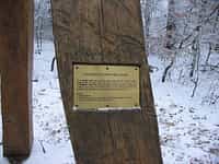 Fotodetail
